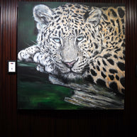 YUAN HENRY - Resting Leopard