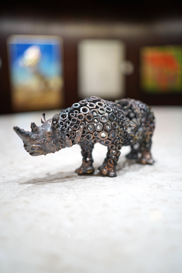 ARUN - Rhino