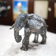 ARUN - New Elephant