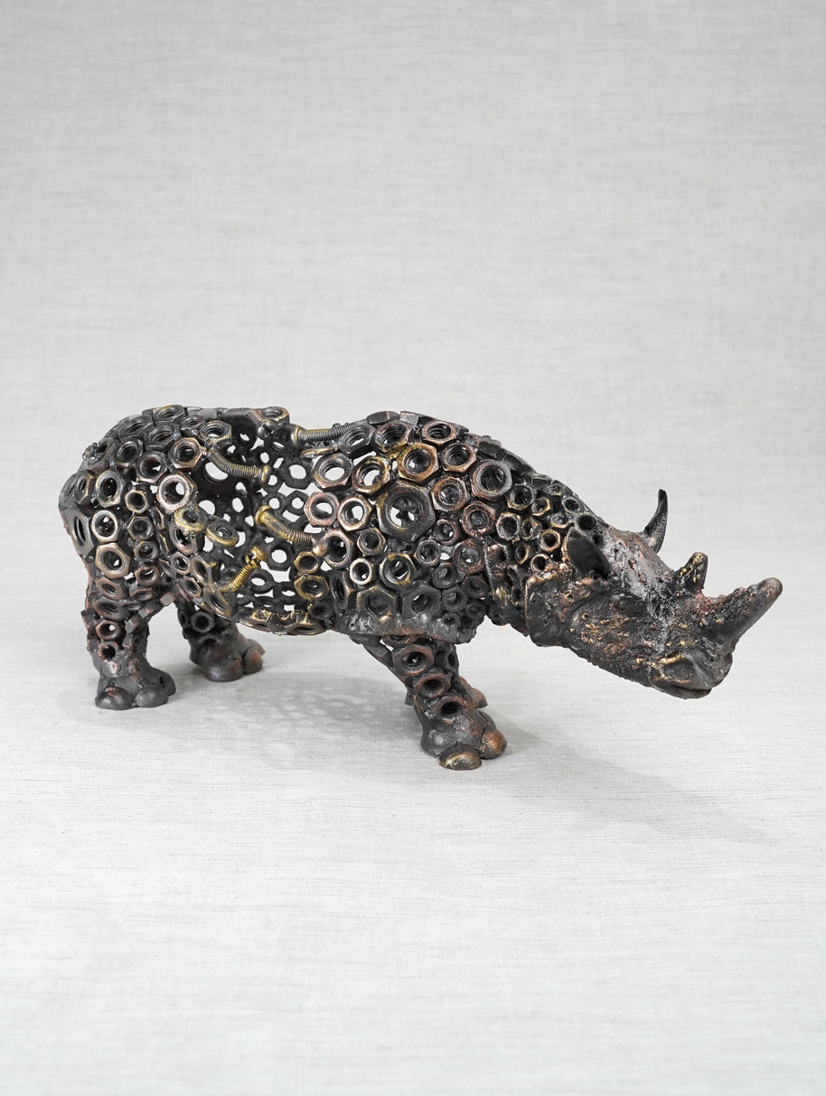 ARUN - Rhino