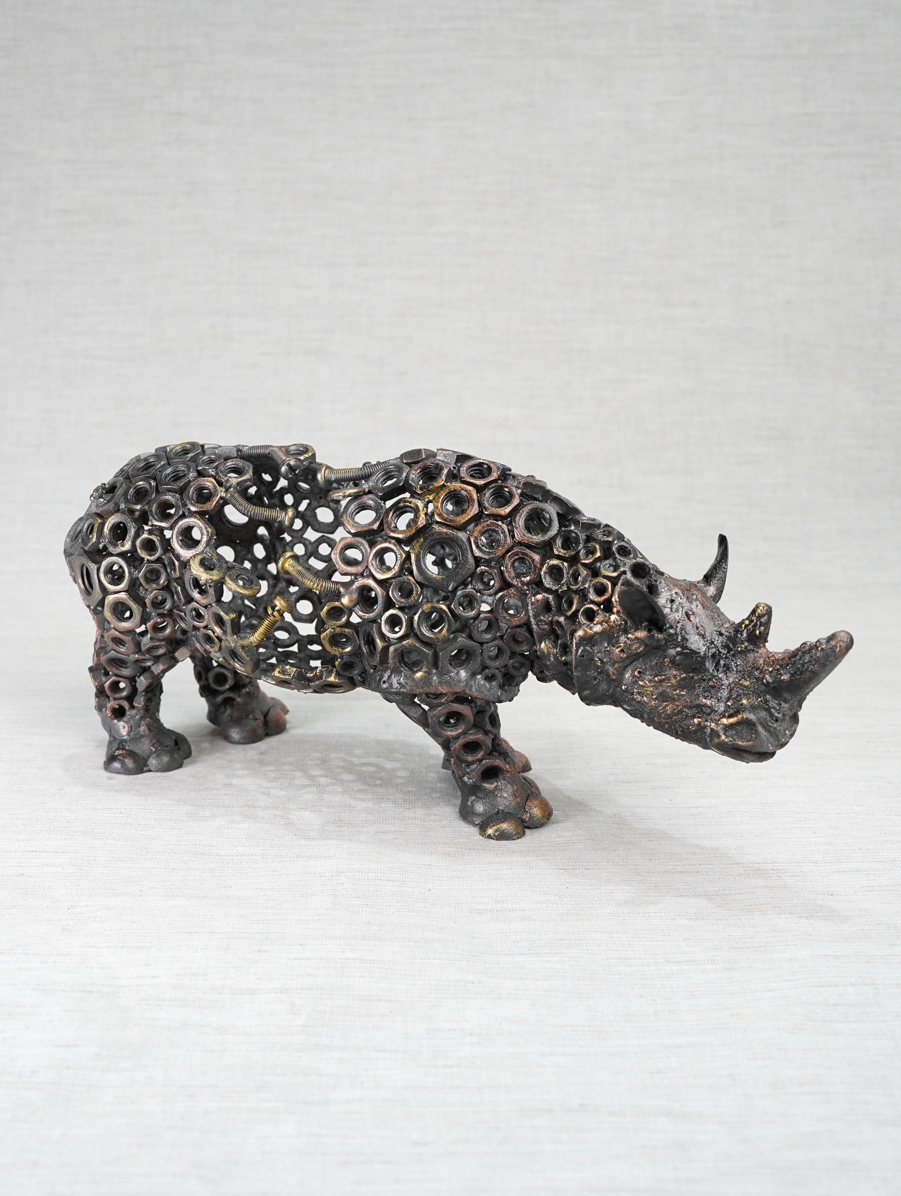 ARUN - Rhino