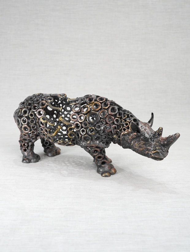 ARUN - Rhino
