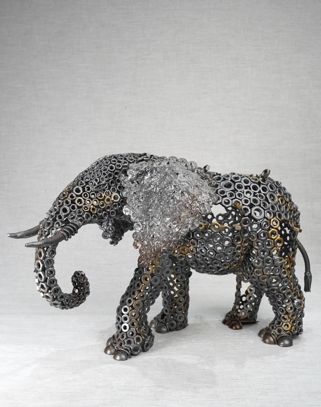 ARUN - New Elephant