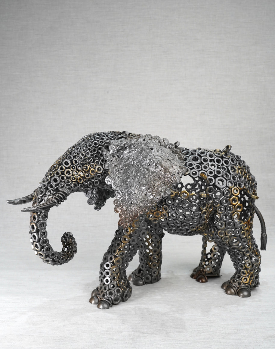 ARUN - New Elephant
