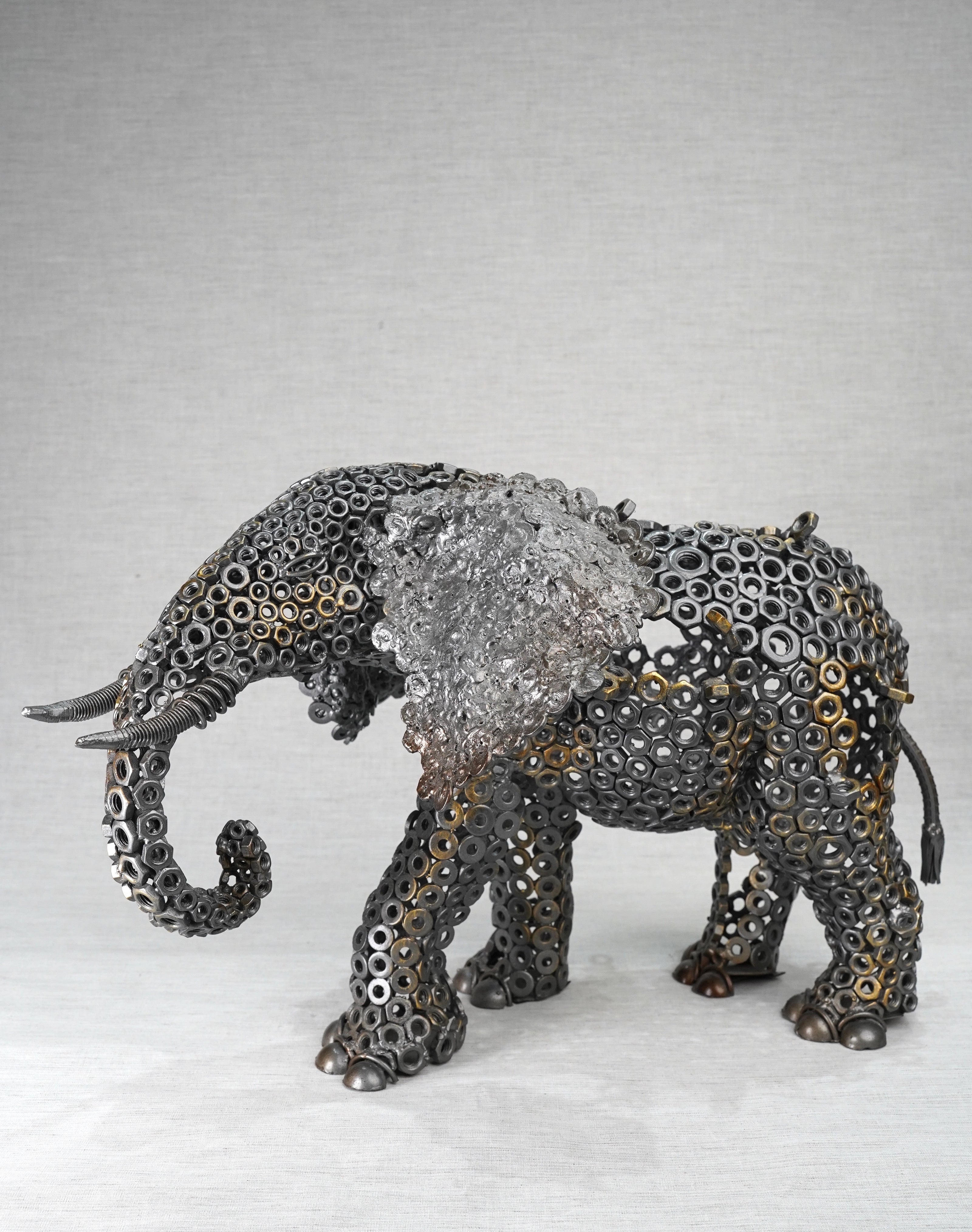 ARUN - New Elephant
