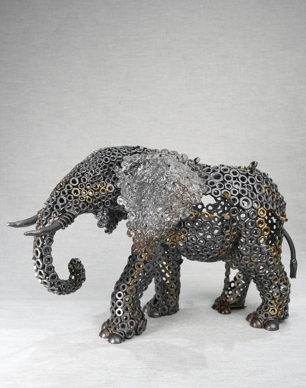 ARUN - New Elephant