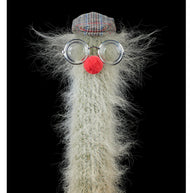 ARNO BANI  - “ Mr Cactus”, Cactus Story, 2017