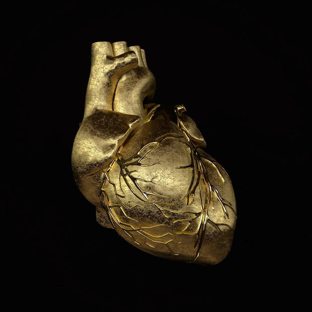 GRÉGOIRE A MEYER - Golden Heart