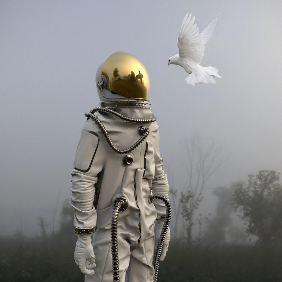 GRÉGOIRE A MEYER - Human & Nature