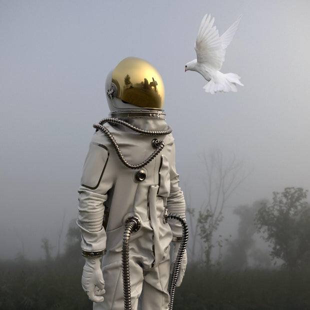 GRÉGOIRE A MEYER - Human & Nature