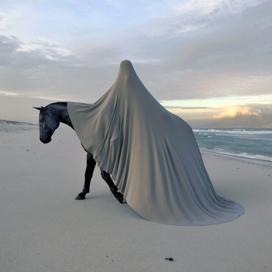 GRÉGOIRE A MEYER - The Bride