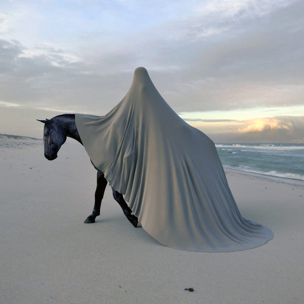 GRÉGOIRE A MEYER - The Bride