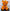NAOR - 40cm H Tribute, Orange Teddy Bear