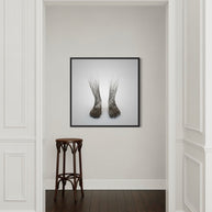 GRÉGOIRE A MEYER - Roots