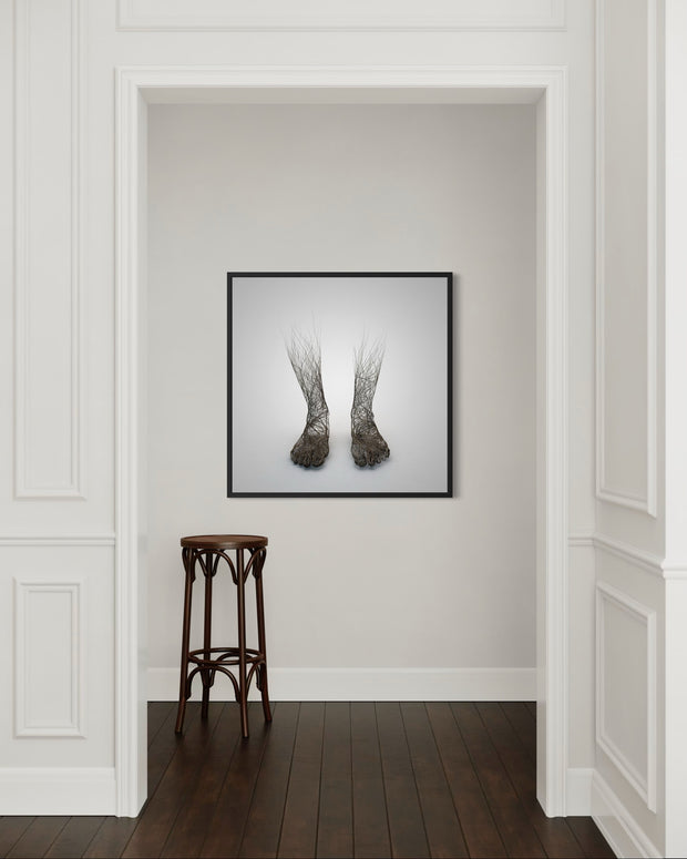 GRÉGOIRE A MEYER - Roots