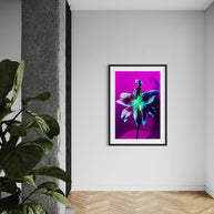 MICHEL HADDI - Flowers Purple