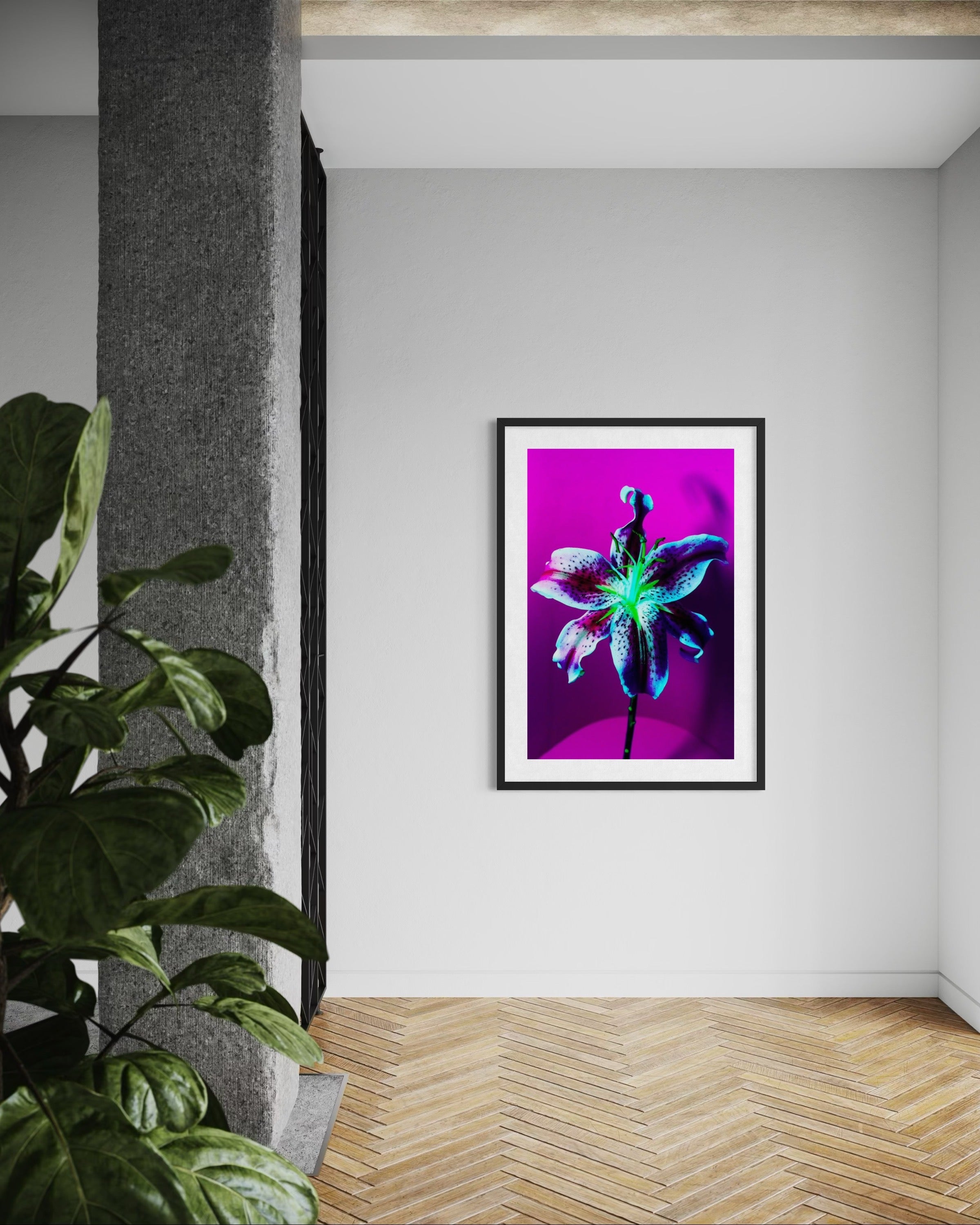 MICHEL HADDI - Flowers Purple