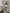 RACHEL BERGERET - Baby Doll 2025 - CH Tribute 1