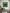 KEVIN CHAMPENY - H Tribute Mosaic, Green