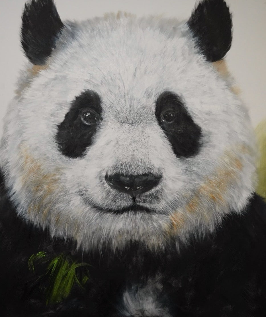 YUAN HENRY - Panda