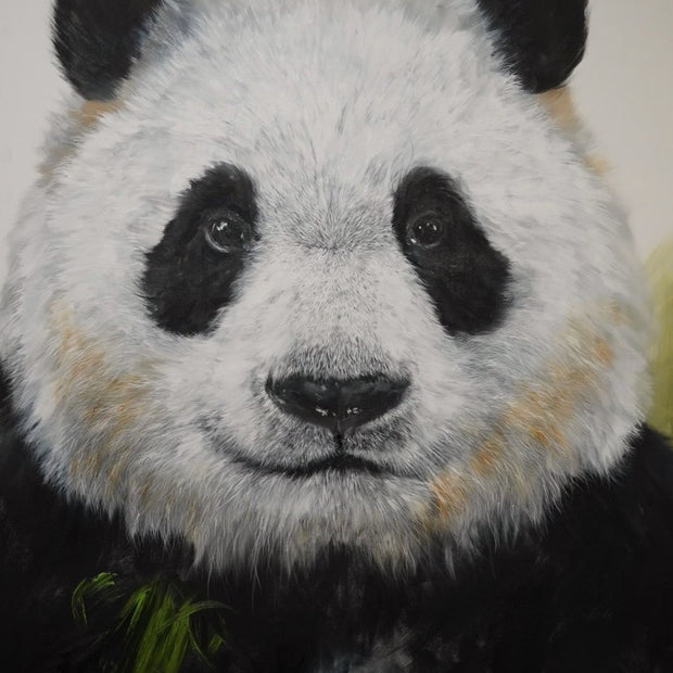 YUAN HENRY - Panda