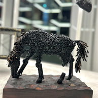 ARUN - Small Horse