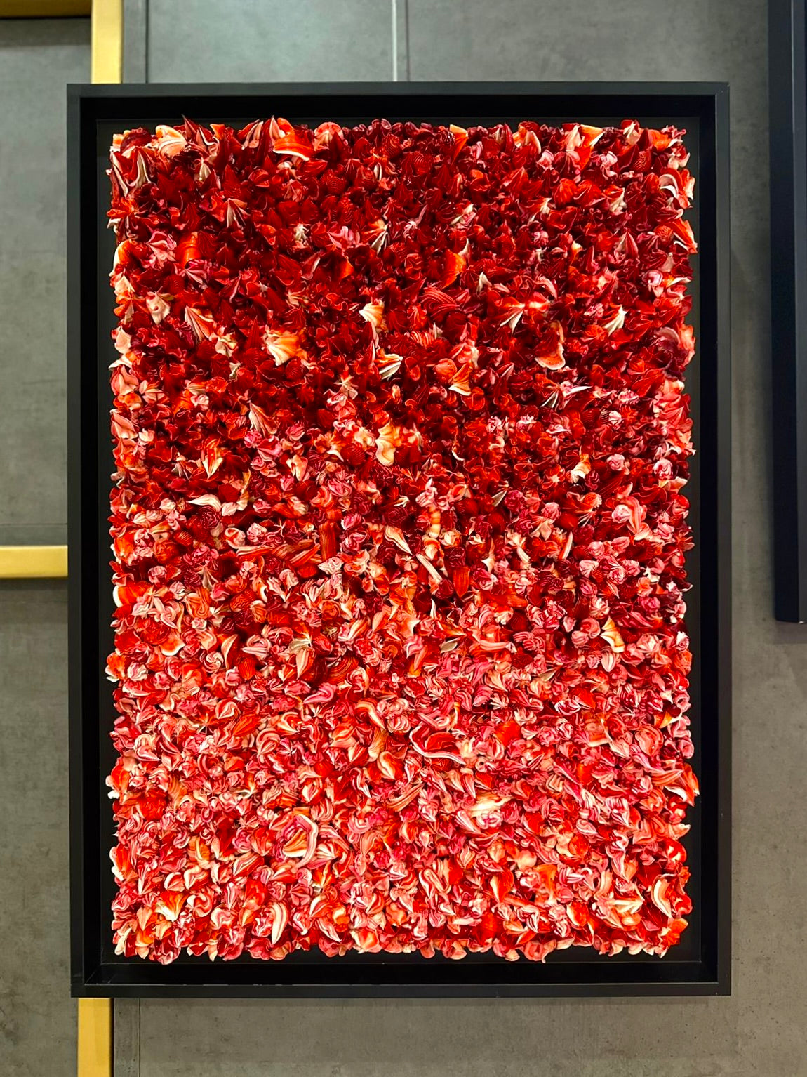 CHRISTOPHE SOLA - 50 Shades of Red