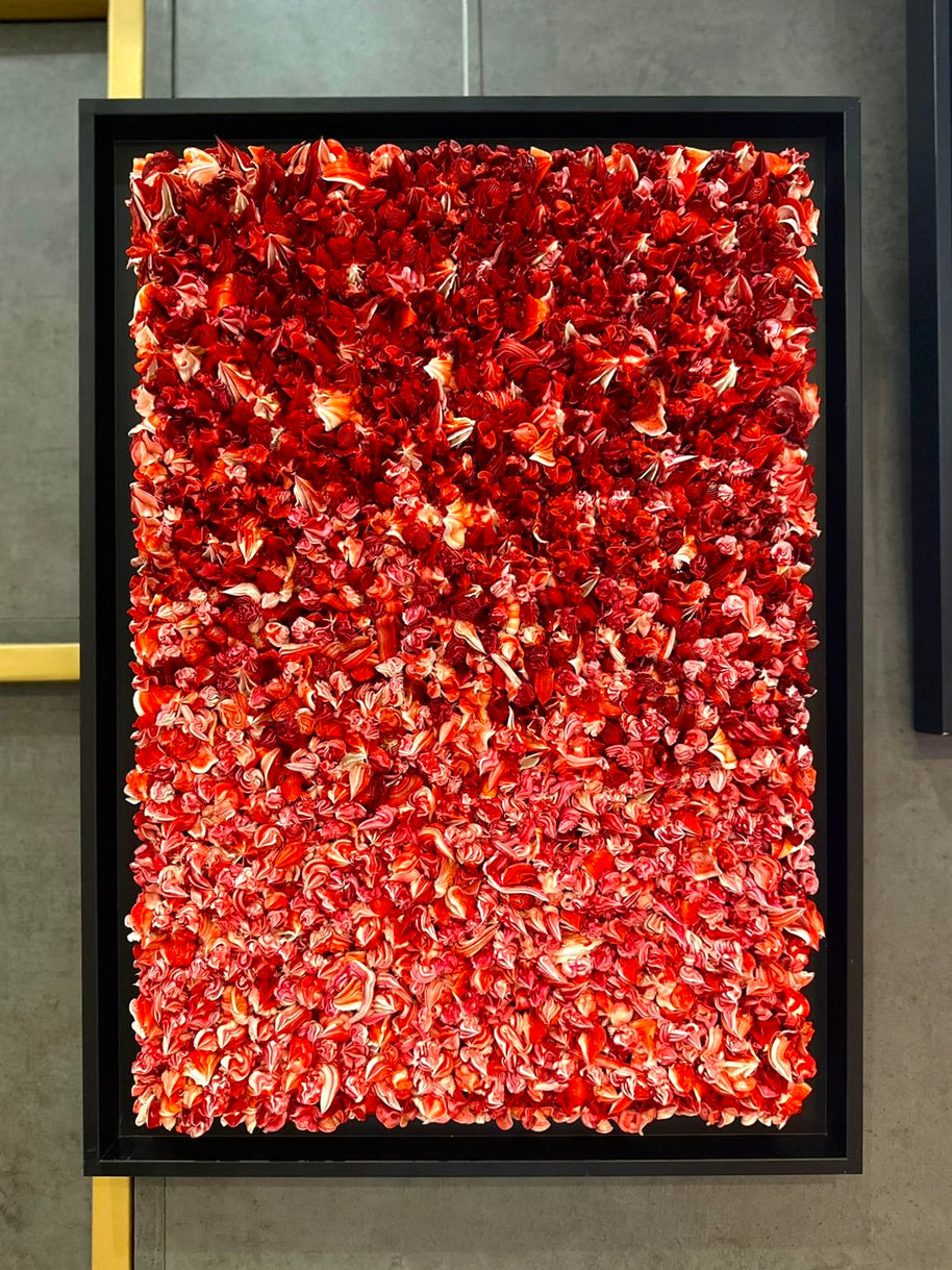CHRISTOPHE SOLA - 50 Shades of Red