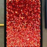 CHRISTOPHE SOLA - 50 Shades of Red