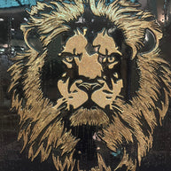 LILY - Golden Lion head