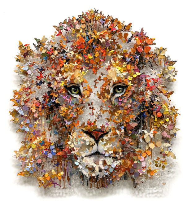 BARAK& MIRI - Regal Gaze Lion