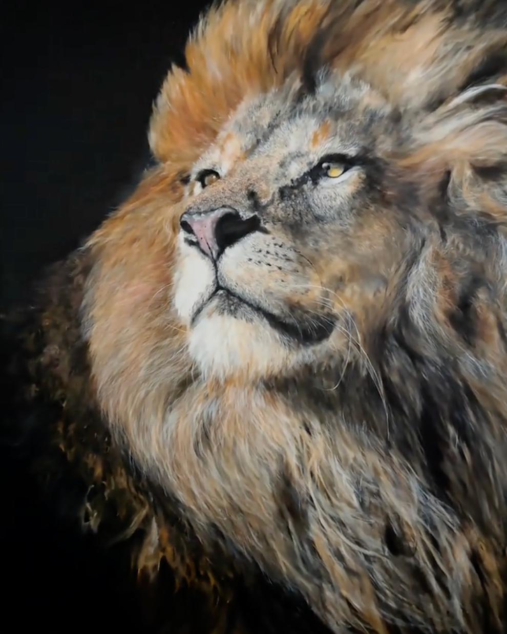 YUAN HENRY - Lion