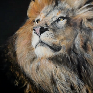 YUAN HENRY - Lion
