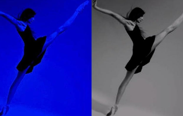 PHILIPPE ROBERT - Marie Agnès Gillot  Opéra National de Paris - blue