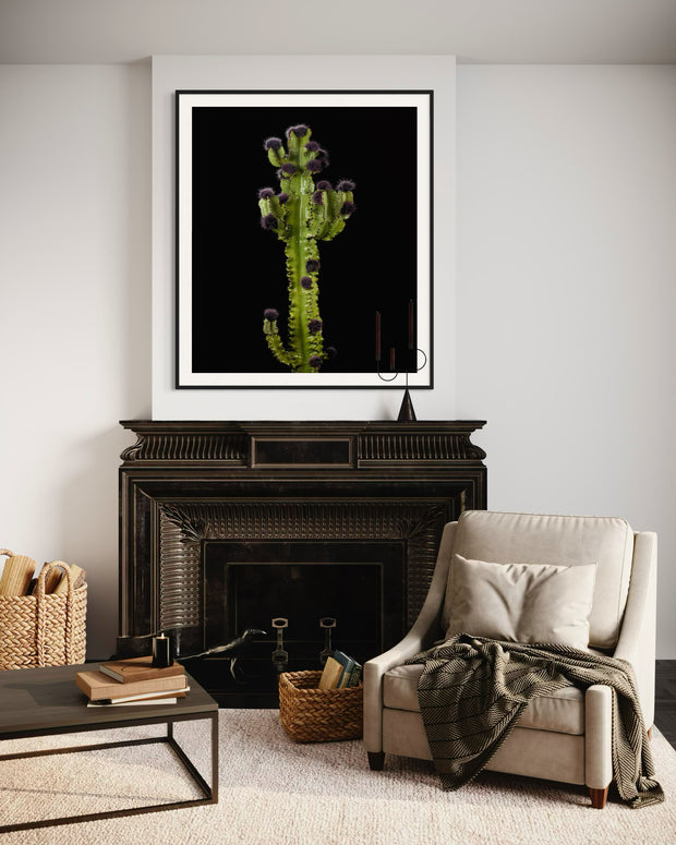 ARNO BANI  - “Couture”, Cactus Party, 2017