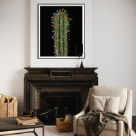ARNO BANI  - “Navidad”, Cactus Story, 2017