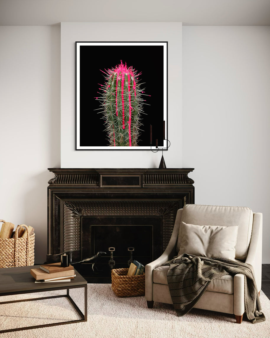 ARNO BANI - “Pink”, Cactus Story, 2017