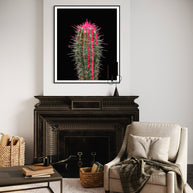 ARNO BANI - “Pink”, Cactus Story, 2017