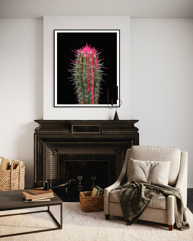 ARNO BANI - “Pink”, Cactus Story, 2017