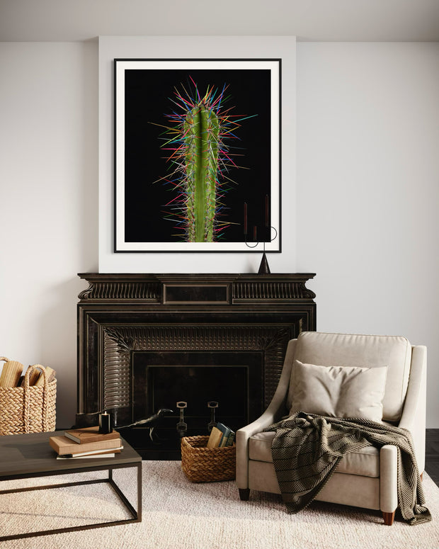 ARNO BANI - “Punk”, Cactus Story, 2017