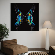 GIULIANO BEKOR - Butterfly or Breast