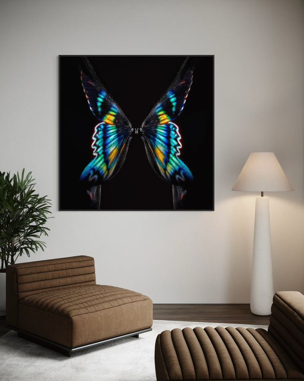 GIULIANO BEKOR - Butterfly or Breast
