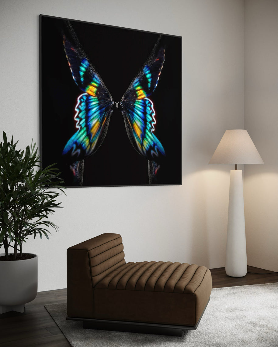GIULIANO BEKOR - Butterfly or Breast