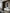 GREG LOTUS - 