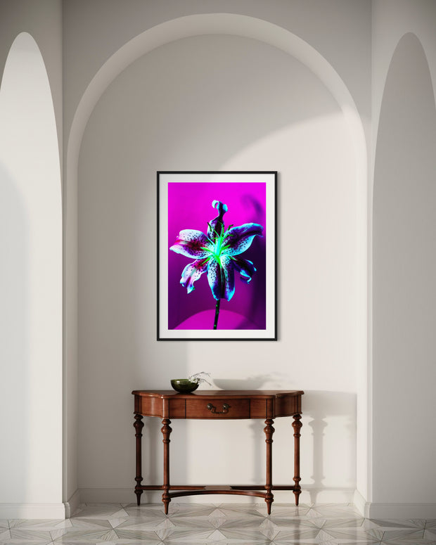 MICHEL HADDI - Flowers Purple