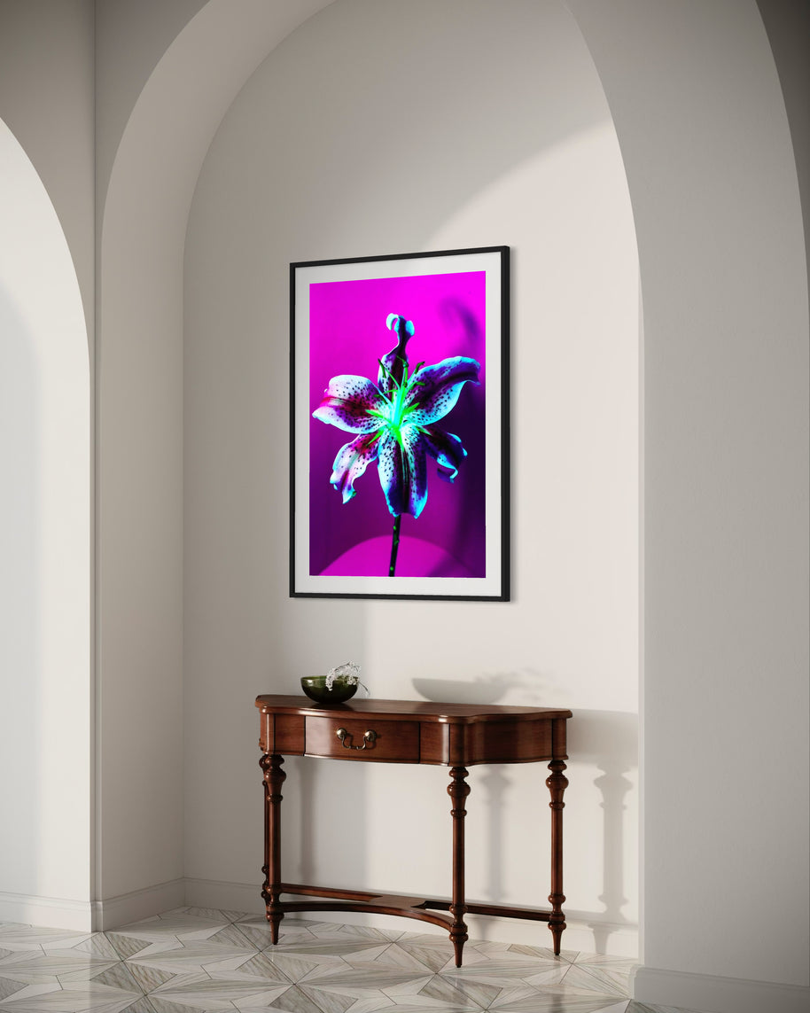 MICHEL HADDI - Flowers Purple