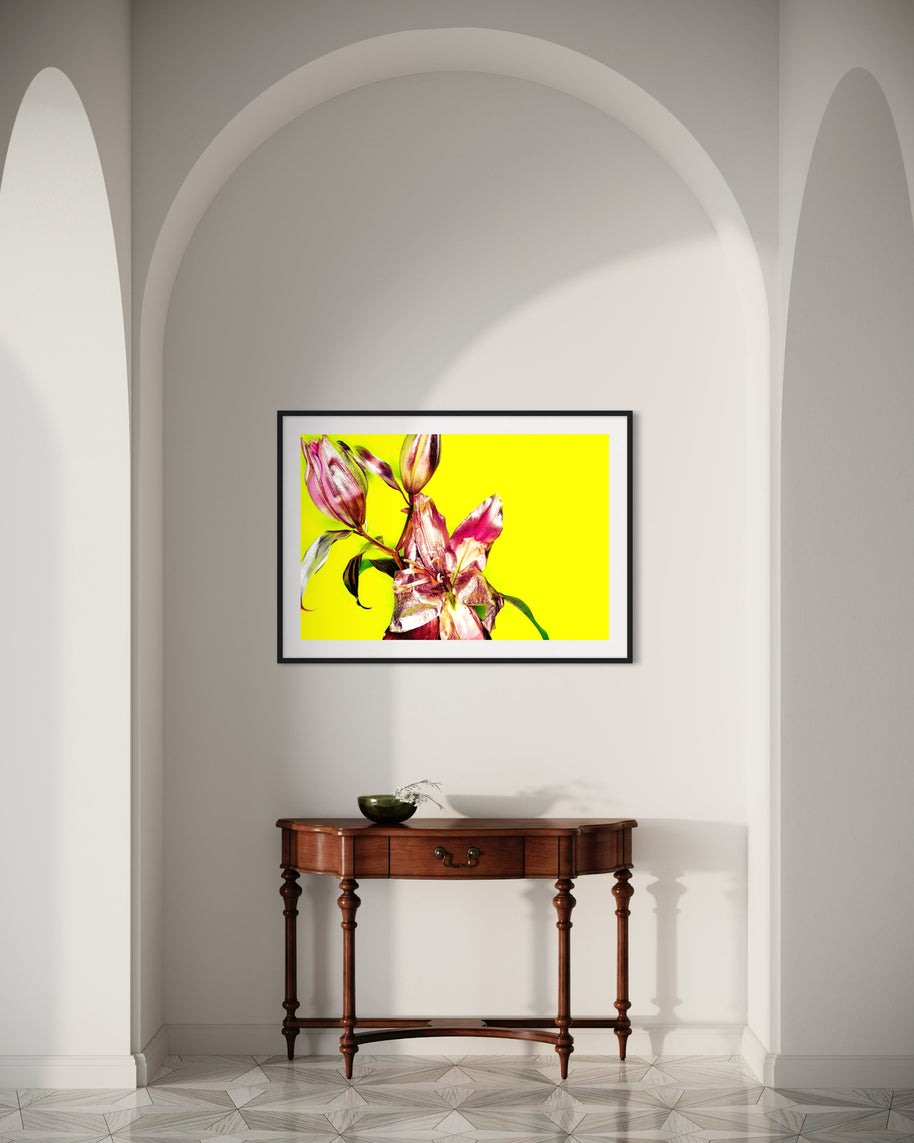MICHEL HADDI - Flowers Yellow