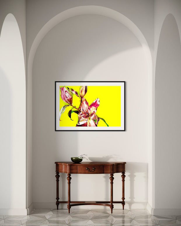 MICHEL HADDI - Flowers Yellow
