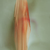 TOMAAS - The Adoration 10