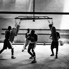 THIERRY LE GOUES - 4 boxers training with bags
